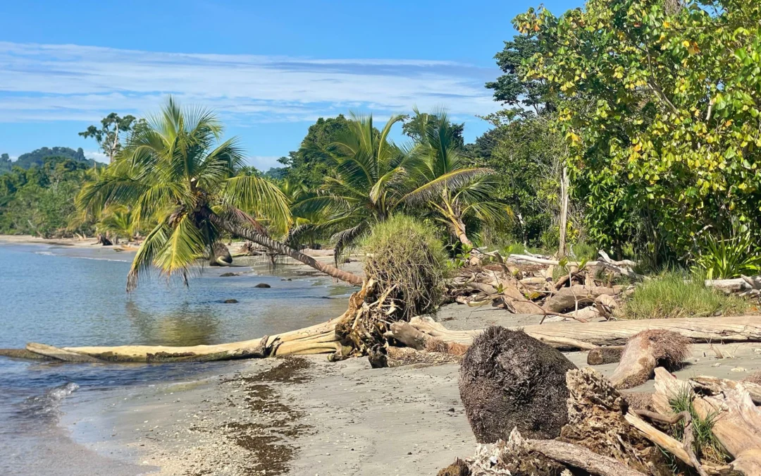 Caribbean Costa Rica