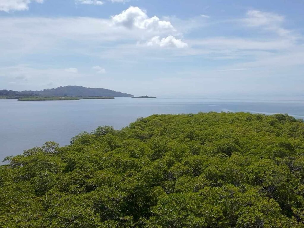 Island - Panama Caribbean Region