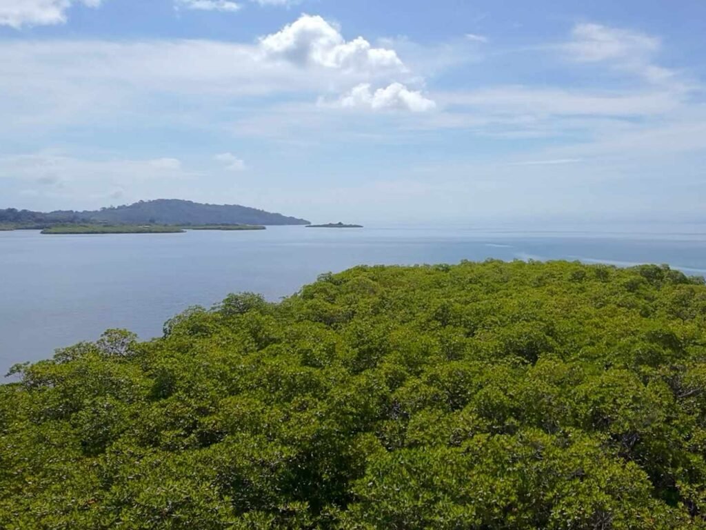 Island - Panama Caribbean Region