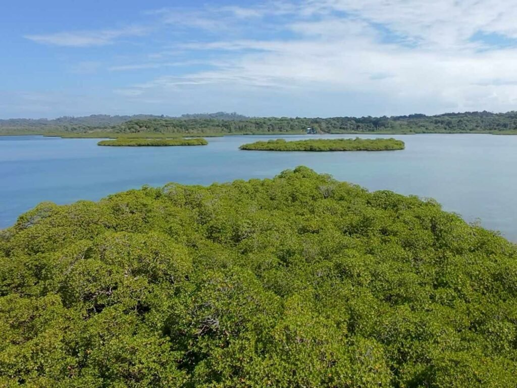 Island - Panama Caribbean Region